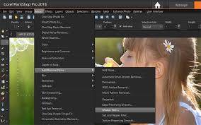 Remove Noise From Image In Paint Pro