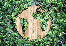 Eco Concept Wood Texture World Icon On