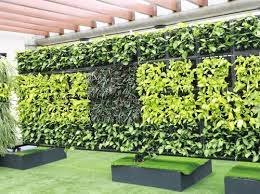 Wall Planters At Best In Mumbai