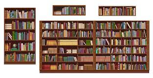 Book Shelves And Bookcase Of Library Or