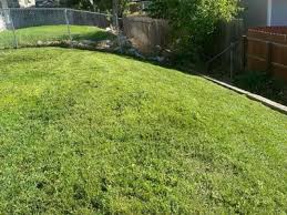 Ogden Lawn Care Mowing Services