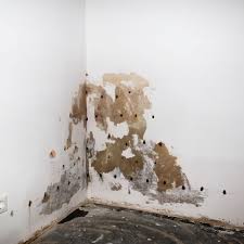 Treating Rising Damp Yourself The Do S