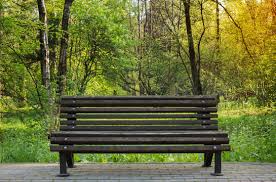 Park Bench Images Browse 698 863