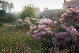 The 25 Essential Gardens To See In Your