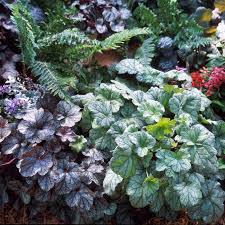 All Blog Posts Gardening Inspiration