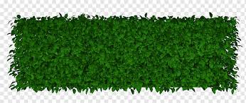 Rectangular Green Grasses Rectangle