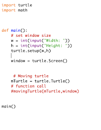 Python Make The Icon A Turtle Chegg