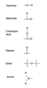 Molecule Building