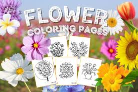 50 Flower Coloring Pages Clipart To