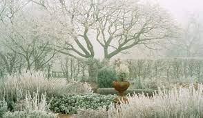 Winter Garden Garden Design