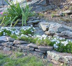 Place Rocks On A Slope To Stop Erosion