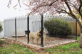 Iron Fence Is Best For My Dog