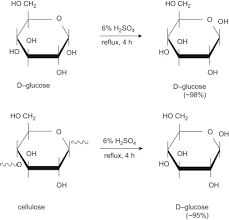 Acid Hydrolysis An Overview