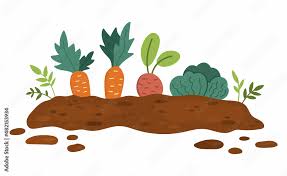 Vector Garden Sprouted Plants Isolated