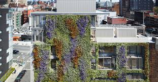 Green Walls Enhancing Design And