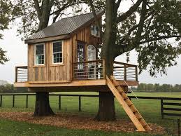 25 Diy Tree House Plans You Can Live In