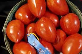 Growing The Best Tomatoes Choosing