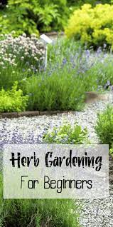 Herb Gardening For Beginners