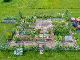 How To Plan A Vegetable Garden 10