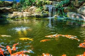 Japanese Garden Waterfalls Lush Green