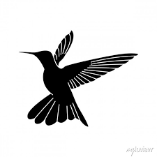 Hummingbird Logo Design Colibri Bird