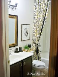 Double Shower Curtain Liner Tutorial