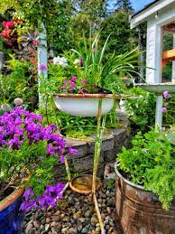 Container Gardening