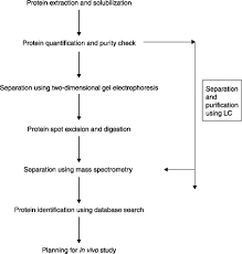 Mass Spectrometry An Overview