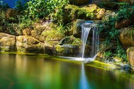 Tropical Waterfall Stock Photos Images