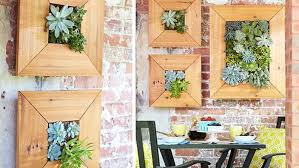 Diy Wall Mounted Succulent Planter Lowe S