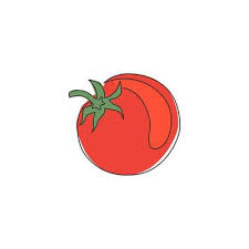 Healthy Organic Tomato