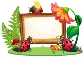 Border Template Design With Insects In