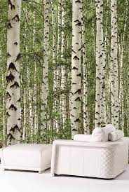 Birch Tree Forest Wall Mural Talissa