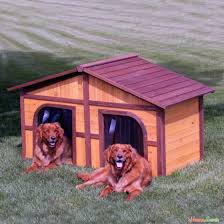 20 Beautiful And Funny Dog House Plans
