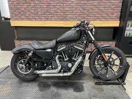 2020 Harley Davidson Xl883n