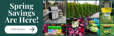 Alsip Home Nursery Northwest