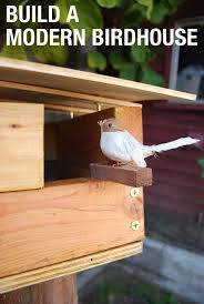 How To Build A Modern Birdhouse