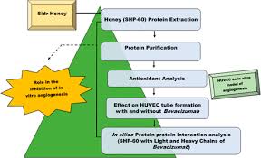 Honey Protein Shp 60 And Bevacizumab