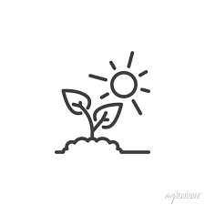 Plant And Sun Line Icon Linear Style