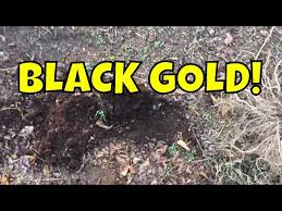 Soil Transformation Incredible Root