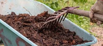 Home Depot Plain Fill Dirt