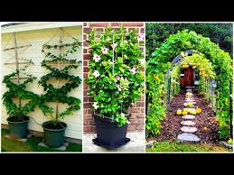 Garden Trellis Ideas For Backyard Plot