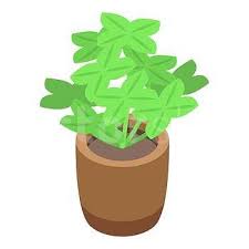 Luck Plant Pot Icon Isometric Of Luck