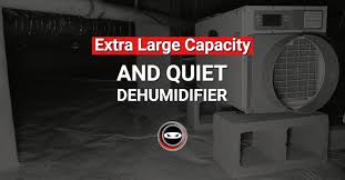 Quiet Dehumidifier
