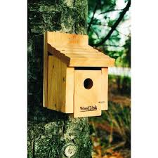 Woodlink Cedar Wren Bird House Wren1