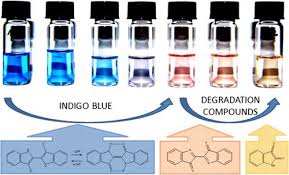 Indigo Dye Indigofera Tinctoria