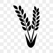 Wheat Icon Png Images Vectors Free