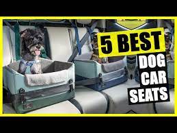 Top 5 Best Dog Car Seat 2023 For