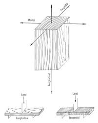 strength properties of wood for