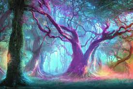 Enchanted Forest 4k Wallpaper